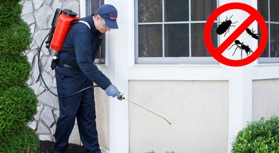 Avcılar Dezenfeksiyon böcek ilaçlama ve haşere kontrolü — ilaclama-tr.com